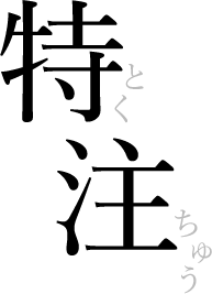特注